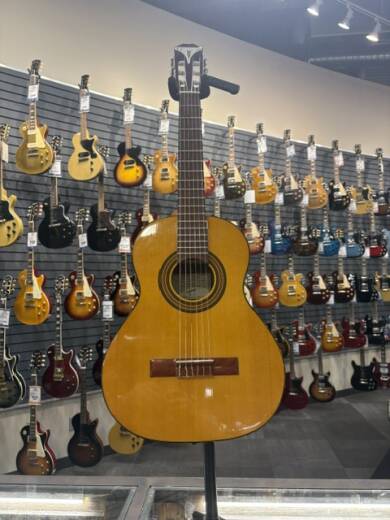 Epiphone - EAPC3ANCH